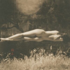 A nude man is laying in the grass.