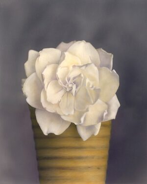 A white flower in a yellow vase