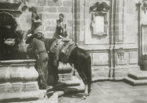 A horse and rider in front of a wall.