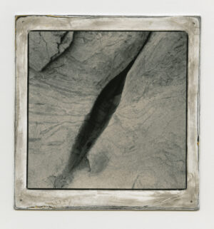 A black and white photo of a fish in the water.