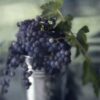 A bunch of grapes in a vase