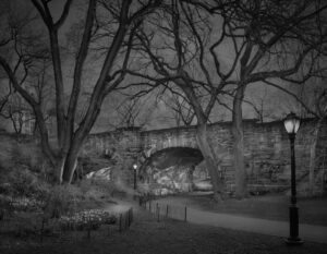 A bridge that is in the middle of some trees.