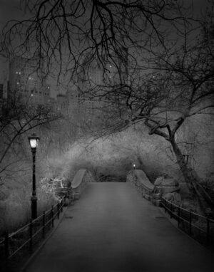 A bridge with lights and trees in the background