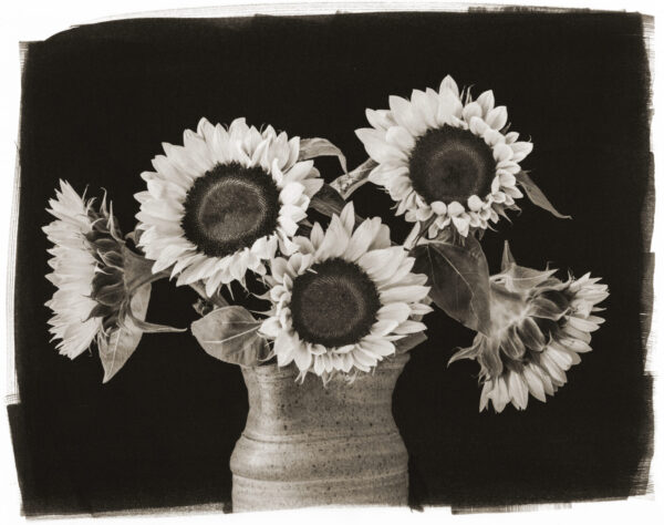 A black and white photo of sunflowers in a vase.