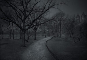 A dark picture of trees and snow in the night.