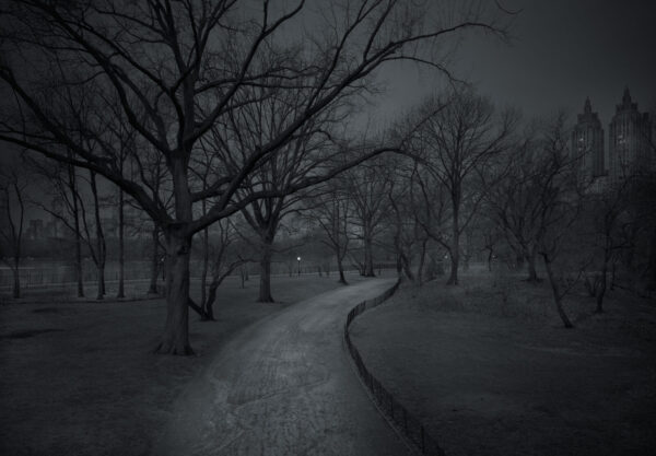 A dark picture of trees and snow in the night.