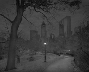 A street light in the middle of a park.