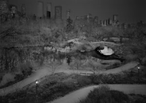 A black and white photo of a park with trees