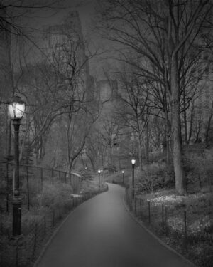 A black and white photo of a path in the woods
