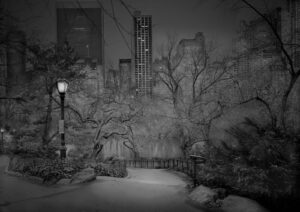 A black and white photo of trees, bushes, and buildings.