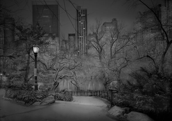 A black and white photo of trees, bushes, and buildings.