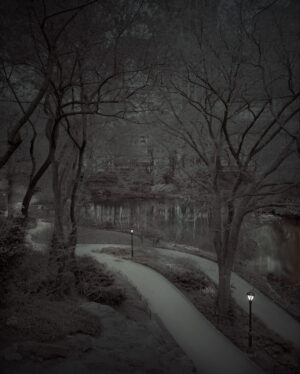 A dark picture of trees and a path in the woods.