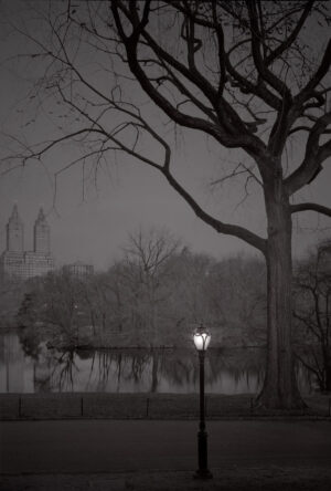 A lamp post in the middle of a park