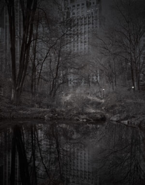 A dark forest with trees and water