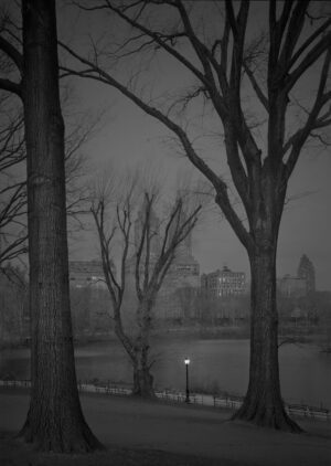 A black and white photo of trees in the foreground.