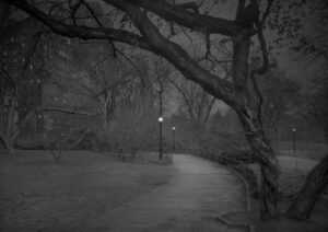 A path in the woods with lights on.