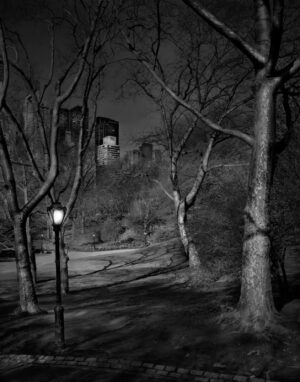 A black and white photo of trees in the dark.