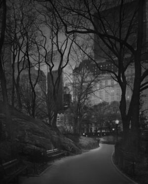 A black and white photo of trees in the dark.