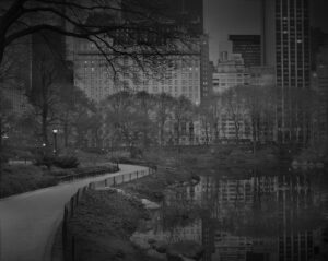 A black and white photo of trees, water and buildings.