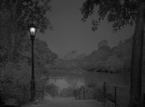 A lamp post in the middle of a park at night.