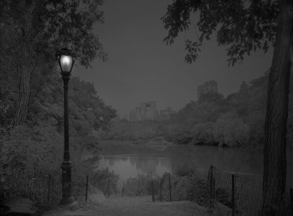 A lamp post in the middle of a park at night.