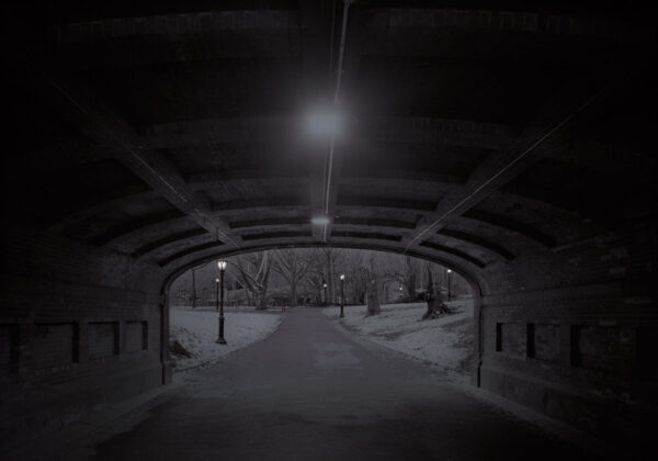 A dark tunnel with lights and trees in the background.
