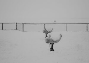 A black and white photo of two benches in the snow.