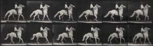 A man riding on the back of a white horse.
