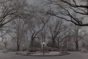 A black and white photo of trees in the distance.