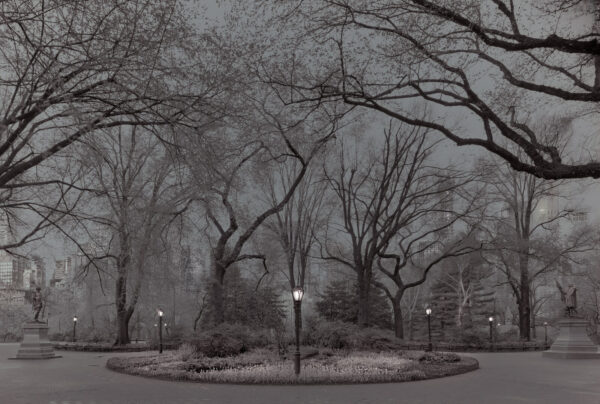 A black and white photo of trees in the distance.