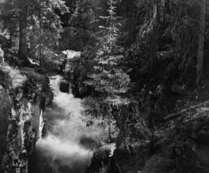 A black and white photo of a waterfall in the woods.