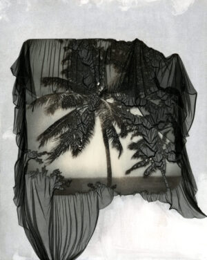 A black lace and white cloth with palm trees.