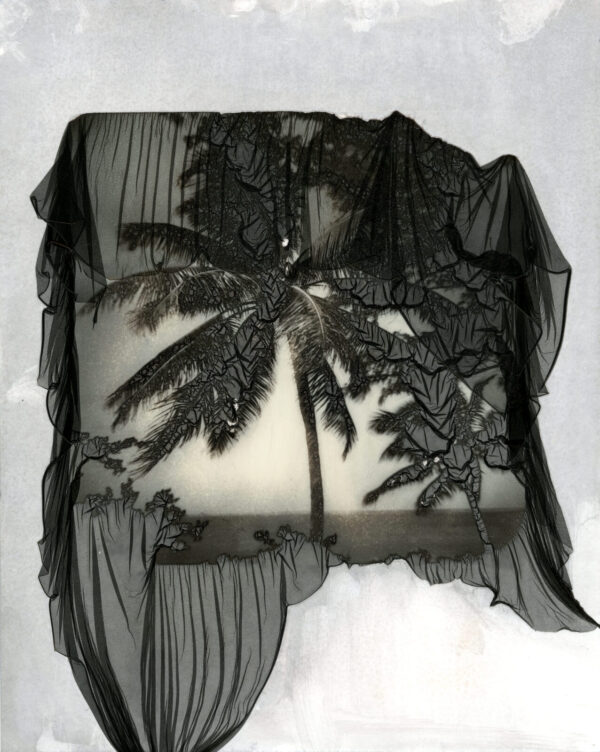 A black lace and white cloth with palm trees.