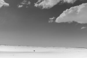 A black and white photo of a desert landscape.