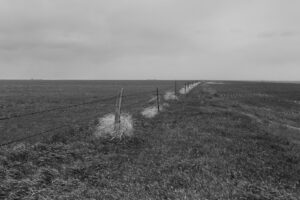 A black and white photo of a field with grass