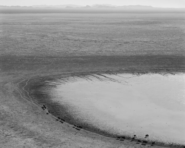 A black and white photo of a body of water