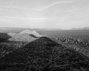 A black and white photo of the desert.