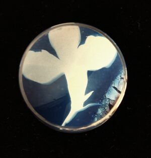 A close up of a flower in the middle of a round object.
