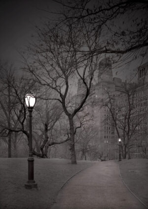 A lamp post in the middle of a park at night.