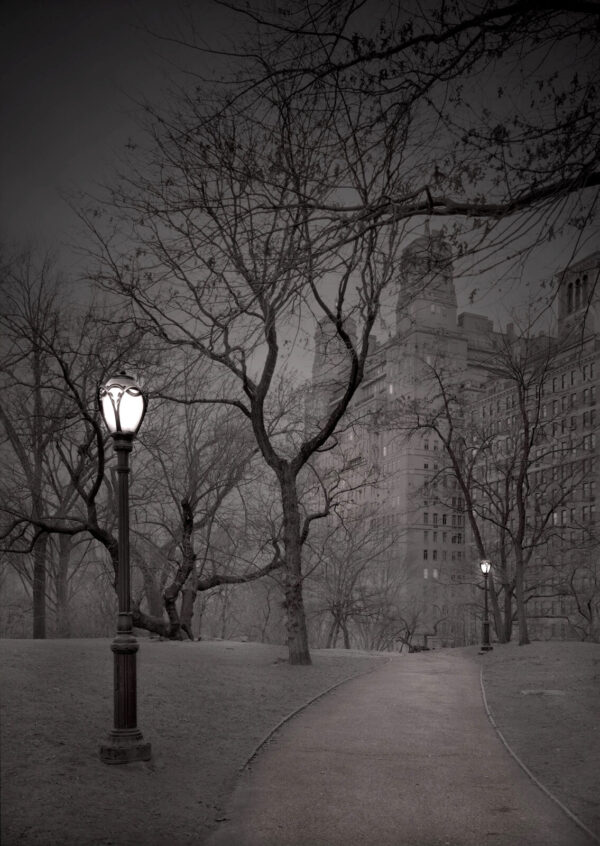 A lamp post in the middle of a park at night.