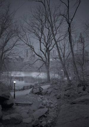 A snowy night scene with trees and lights.
