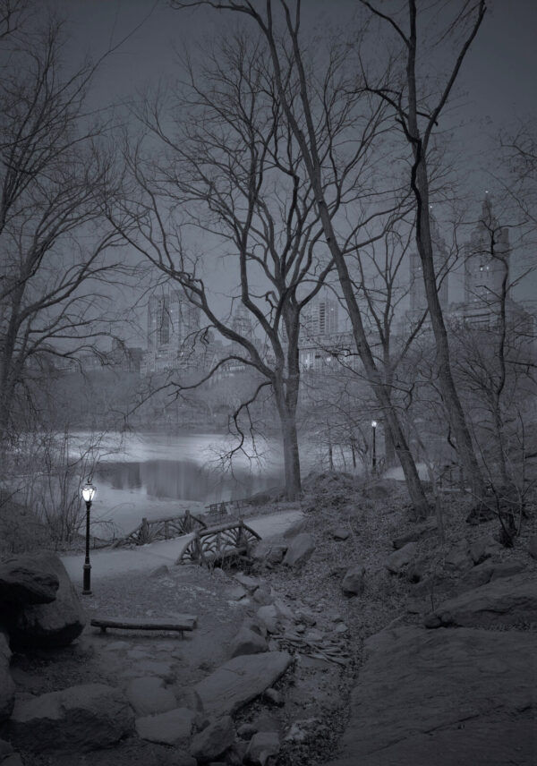 A snowy night scene with trees and lights.