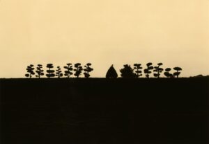 A silhouette of trees and a building on top of a hill.