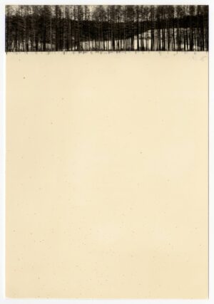 A sheet of paper with trees on it