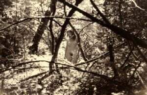 A person standing in the middle of trees.