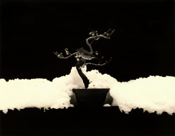 A black and white photo of smoke coming out from the ground.