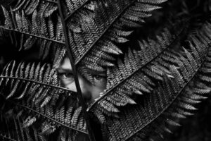 A person 's face is seen through the leaves of a fern.