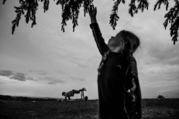 A child reaching up to reach the leaves of a tree.