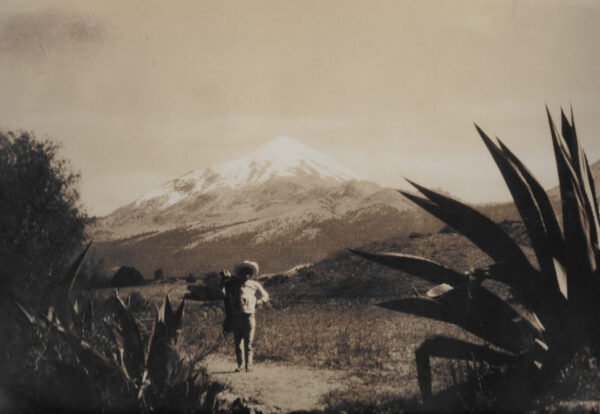 A person walking on the side of a road near some plants.