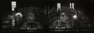 A black and white photo of two eyes with a butterfly on the back.
